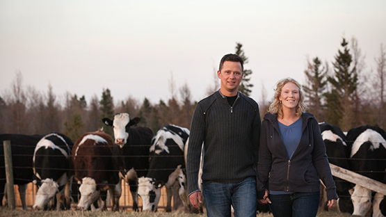 Farm couple with cows