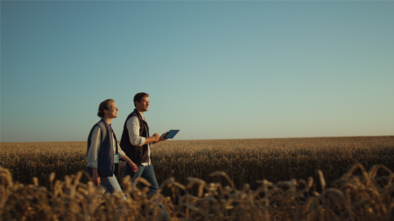 Farmers with Tablet Walking in Wheat Field