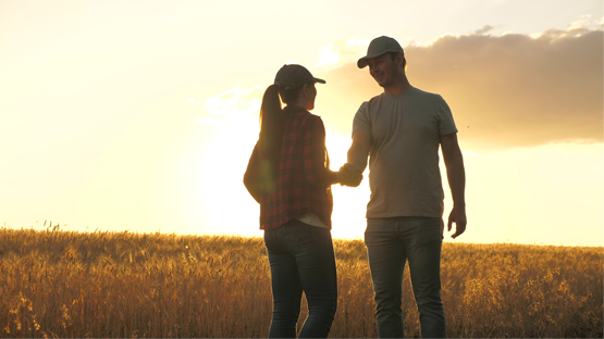 A male and female farmer shake hands in wheat field
