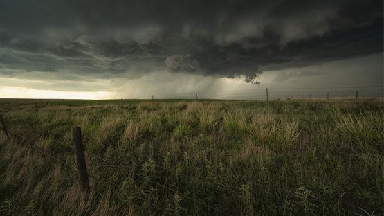 Storm over a pasture