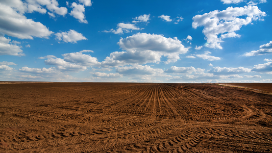 Tractor tracks in dirt field with blue sky