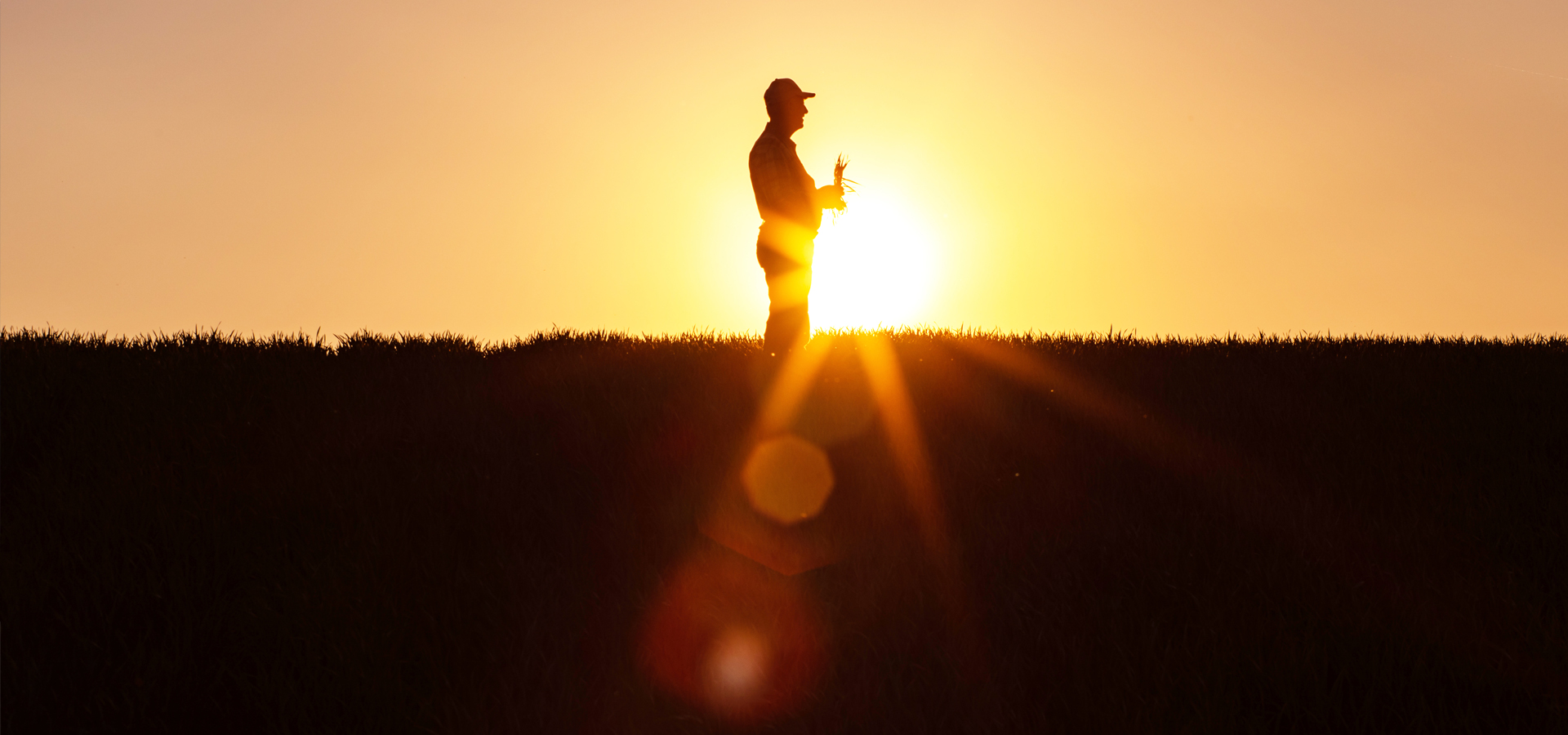 Farmer standing in field at sunset