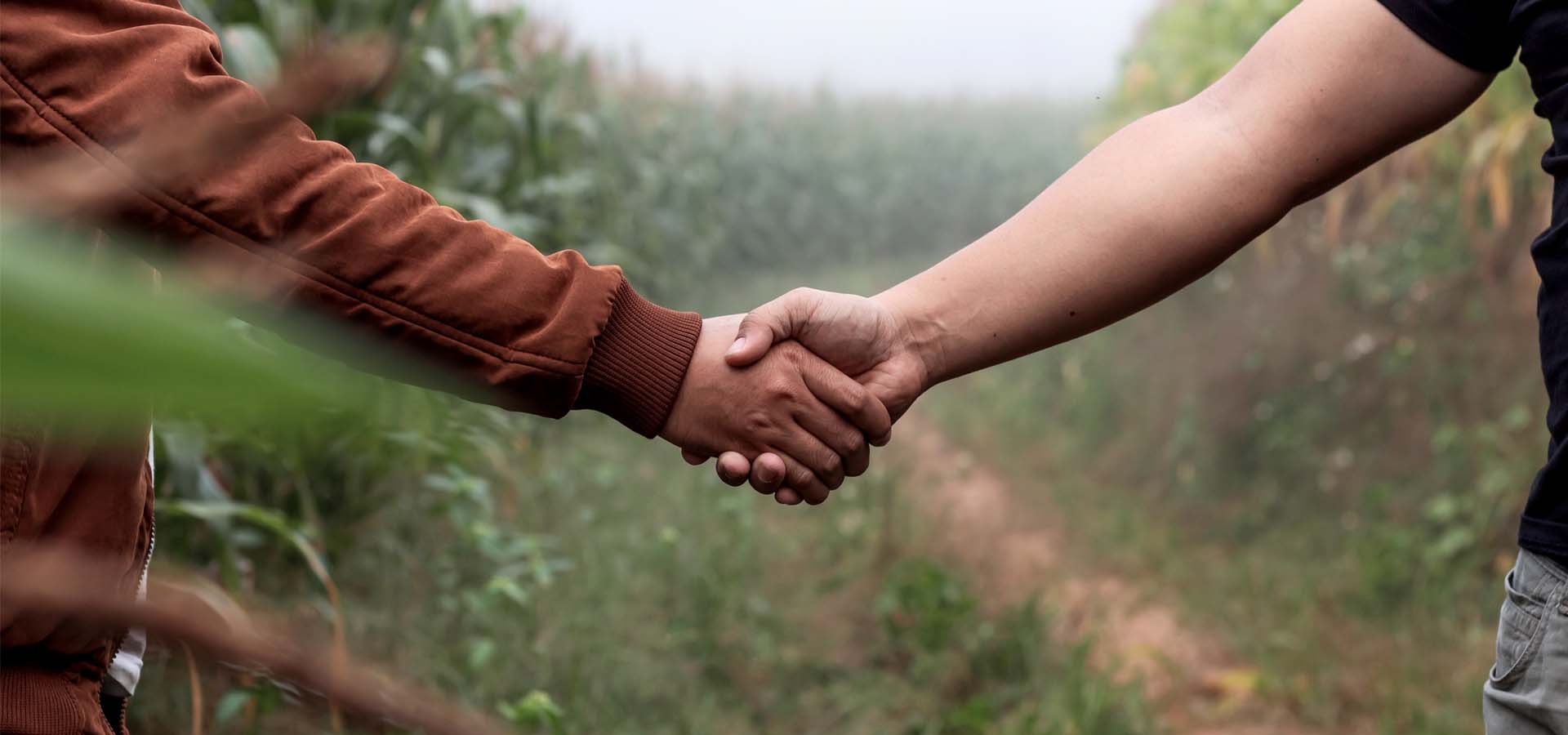 Two people shaking hands in a field