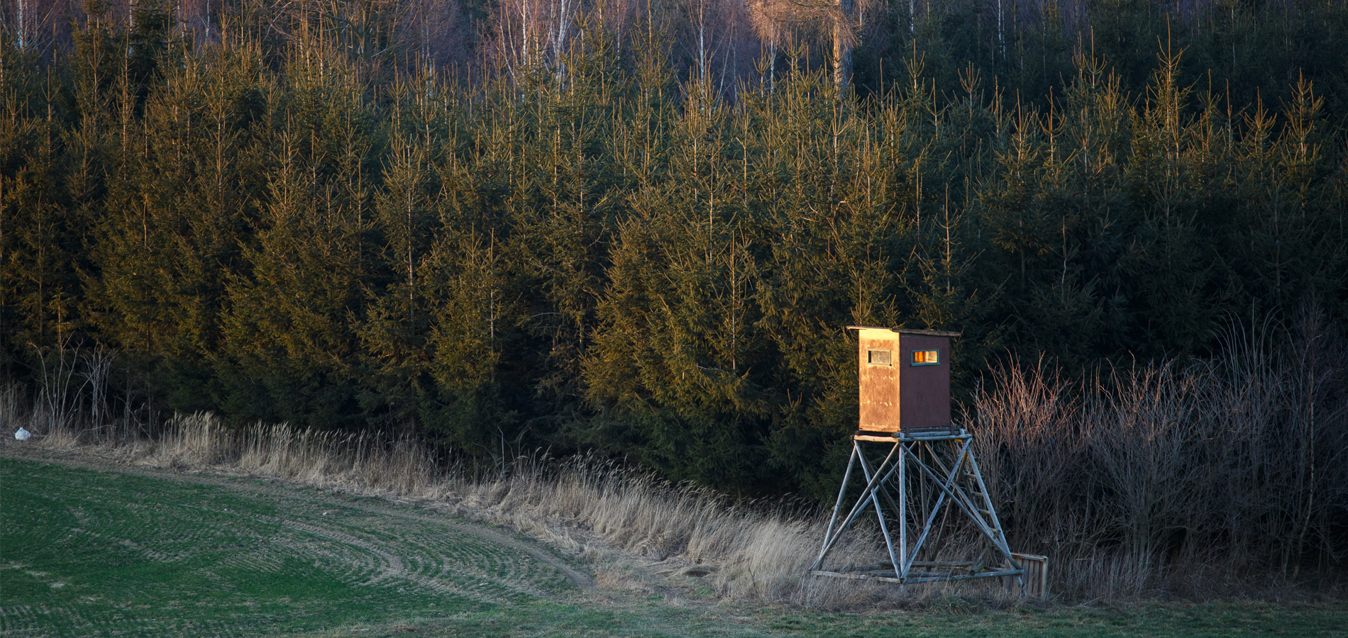 A deer stand at the edge of a field