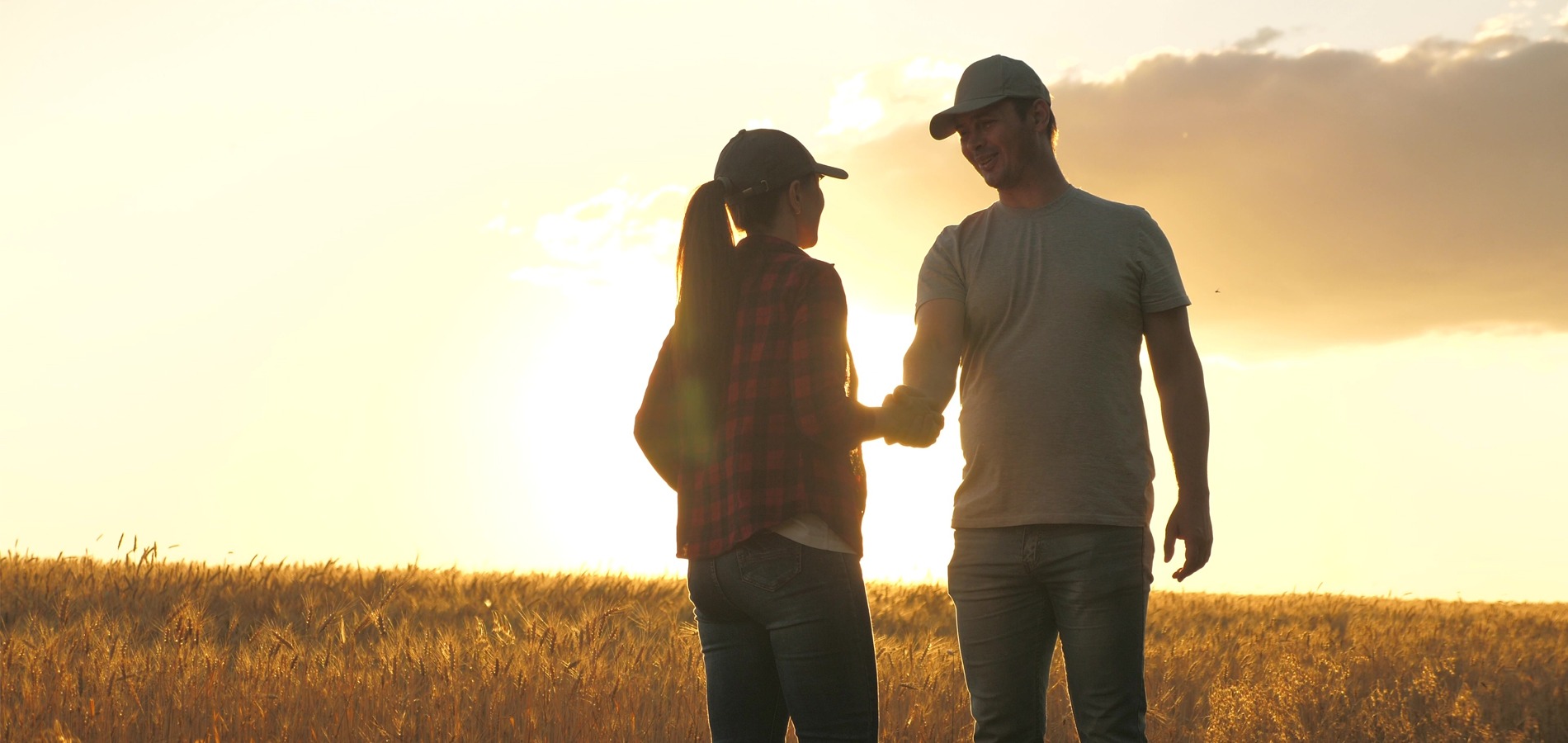A male and female farmer shake hands in wheat field
