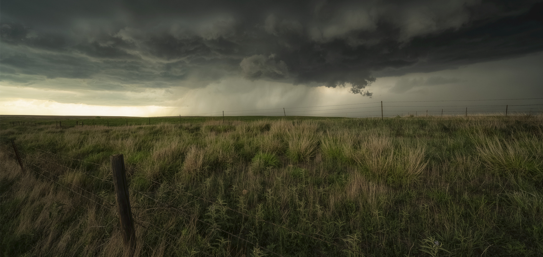 A storm over a pasture