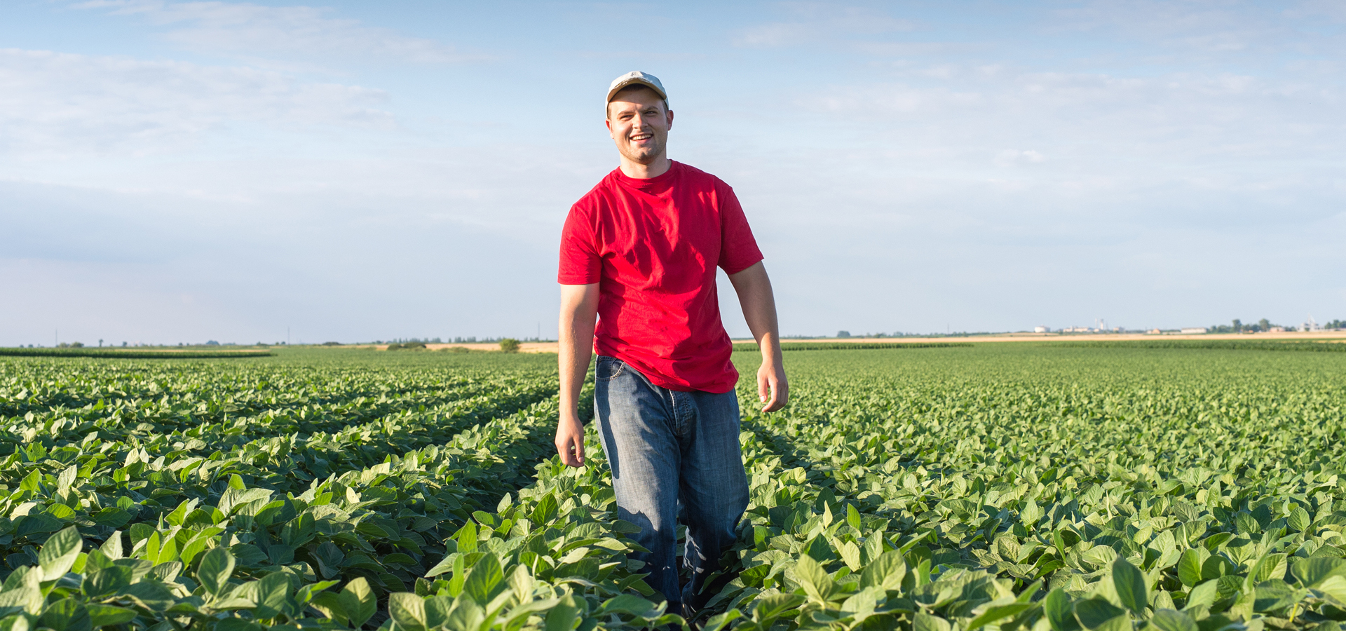 Young farmer standing in a soybean field