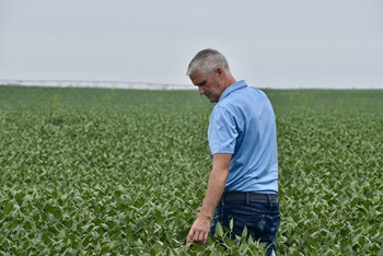 Ed in soybean field
