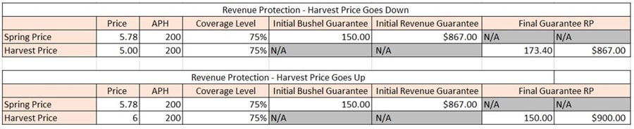An example of revenue protection at current prices and if commodity prices go up. 