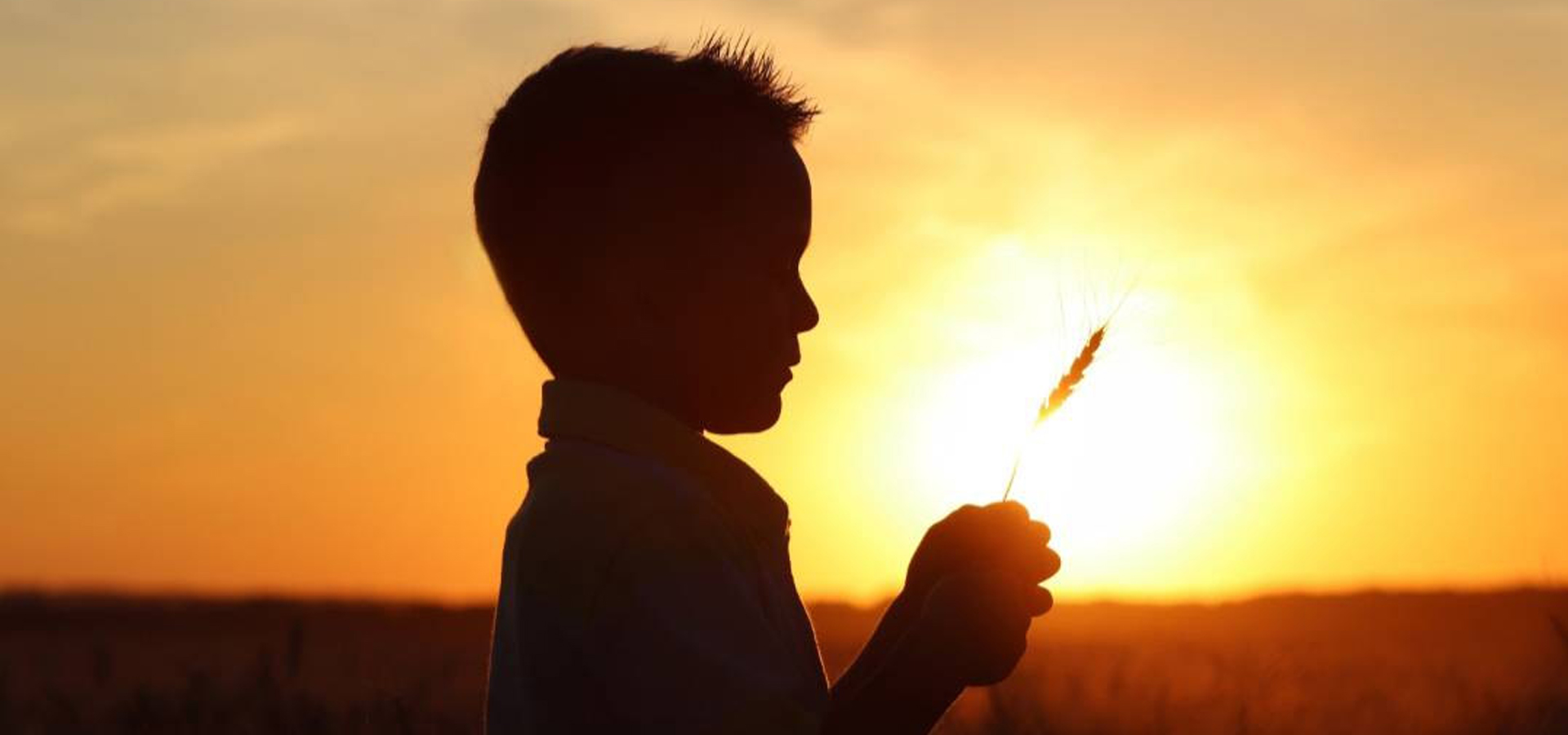 Child holding wheat