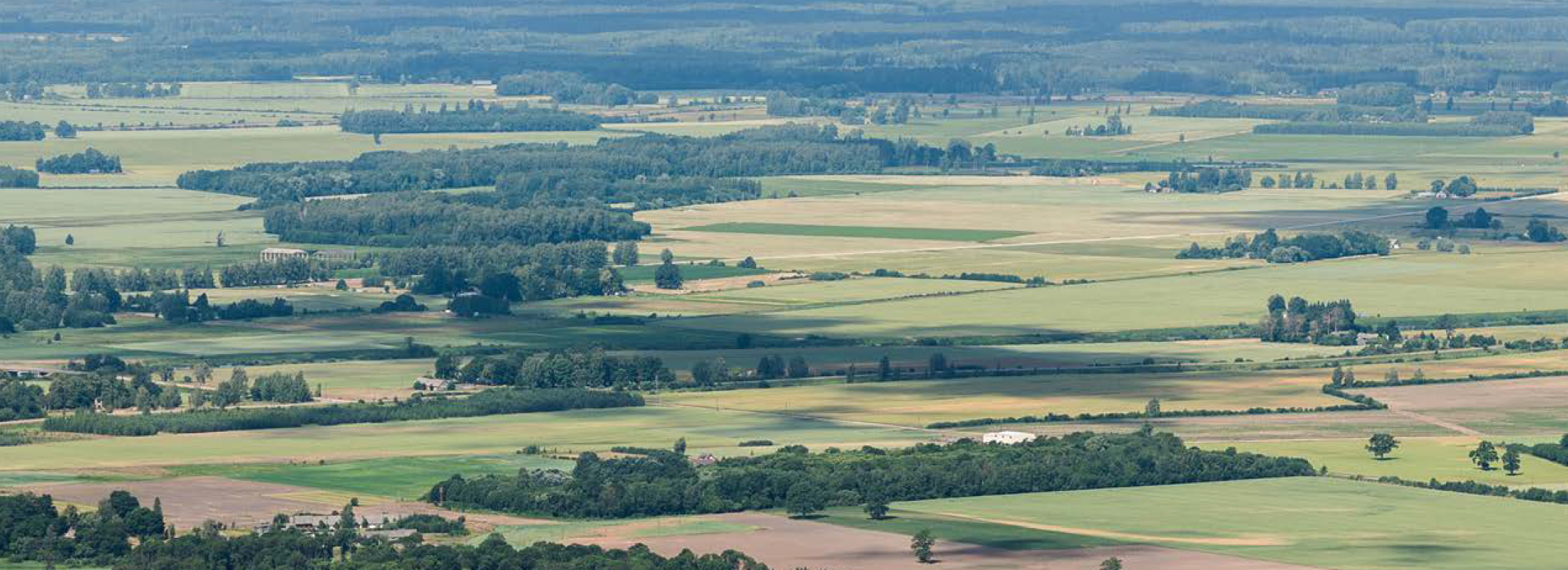 farmland